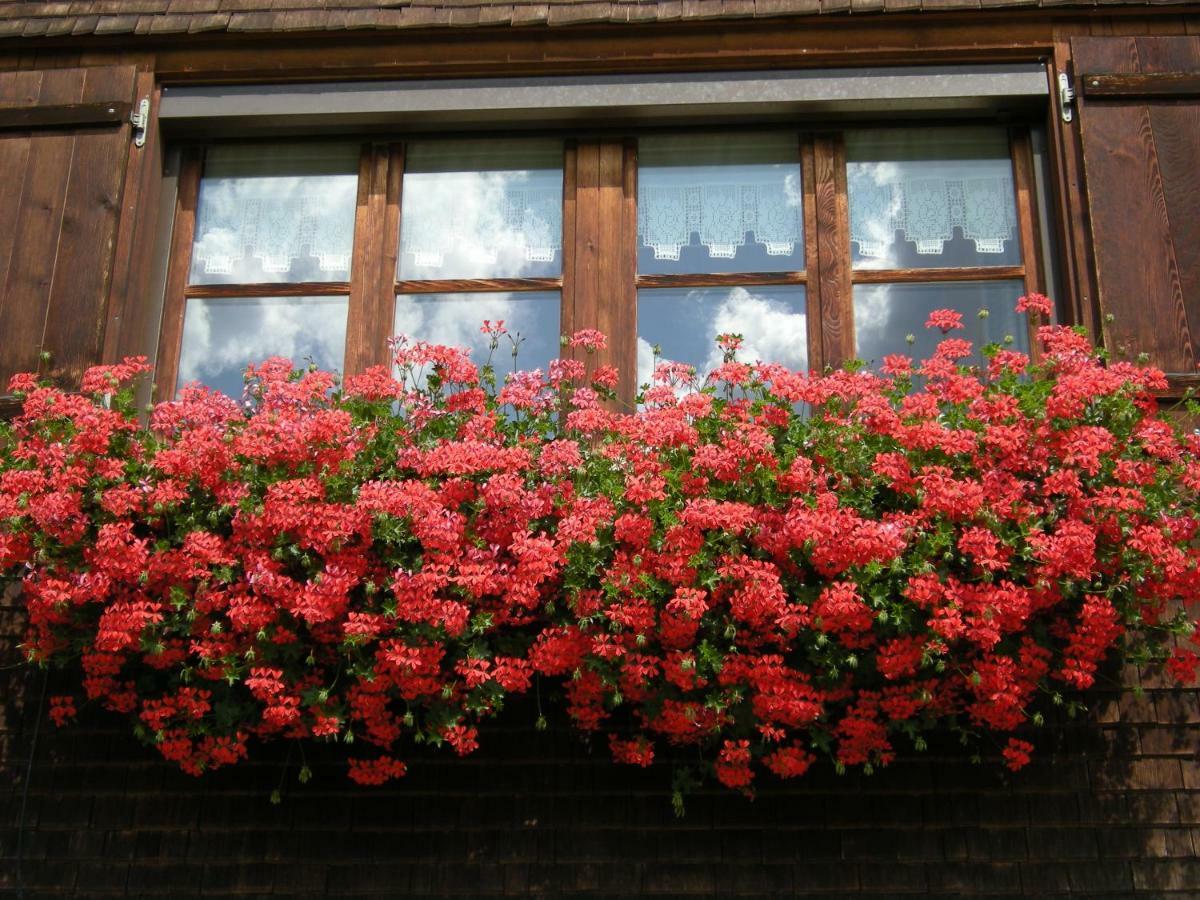 Appartements Karin Mitten Im Gruenen شوبرناو المظهر الخارجي الصورة