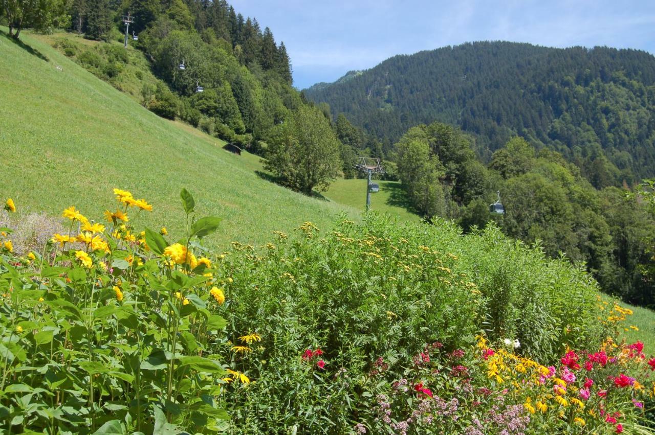 Appartements Karin Mitten Im Gruenen شوبرناو المظهر الخارجي الصورة